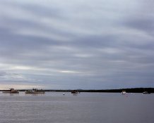 img393.jpg