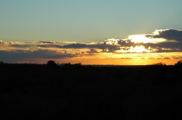 DSC_1737.jpg