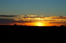 DSC_1723.jpg