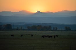 DSC_2971.JPG