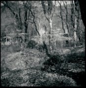 Untitled-60.jpg
