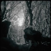 Untitled-45.jpg