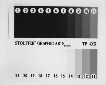 VC Diffusion No 2 copy.jpg