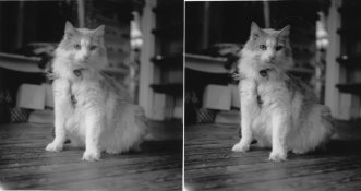 comparison2.jpg