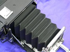 DSCN7184.JPG