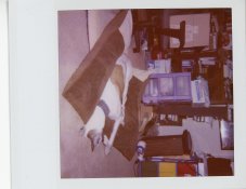 ediepolaroid500.jpg