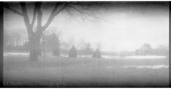 Verichromerawscan-1.jpg Verichromerawscan-1.jpg