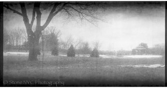 Verichromerawscan-2.jpg Verichromerawscan-2.jpg