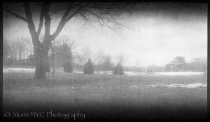 Verichromerawscan-4.jpg Verichromerawscan-4.jpg