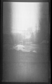 Verichromerawscan-4-1.jpg Verichromerawscan-4-1.jpg