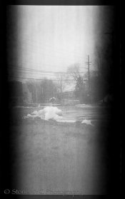 Verichromerawscan-4-2.jpg Verichromerawscan-4-2.jpg