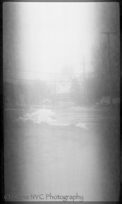 Verichromerawscan-3-1.jpg Verichromerawscan-3-1.jpg