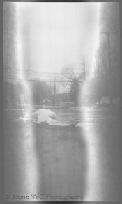 Verichromerawscan-3-3.jpg Verichromerawscan-3-3.jpg