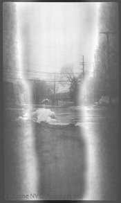 Verichromerawscan-3-4.jpg Verichromerawscan-3-4.jpg