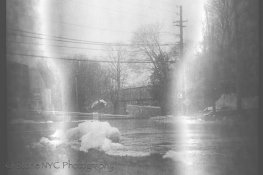 Verichromerawscan-3-5.jpg Verichromerawscan-3-5.jpg