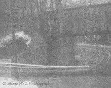 Verichromerawscan-3-6.jpg Verichromerawscan-3-6.jpg