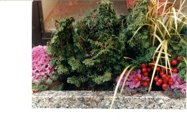 flowers and granite.jpg