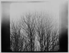 polaroid.jpg