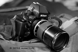 DSC_7378-2sm.jpg