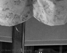 HP51to1-1.jpg