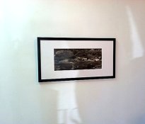 Sciart show images.jpg