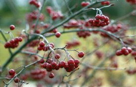 img404.jpg