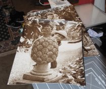 2013-01-04 09.20.38.jpg