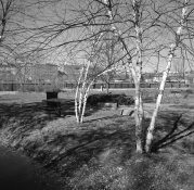 img320.jpg