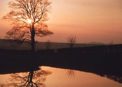 img033.jpg