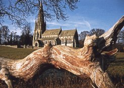 img032.jpg