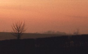 img040.jpg
