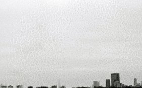 speckles-close.jpg speckles-close.jpg