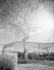 RolleiIR-HC110B-Eps3200002-Edit.jpg