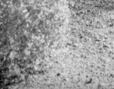 RolleiIR-HC110B-Eps3200002-Edit-2.jpg