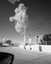 RolleiIR-HC110B-Eps3200005.jpg