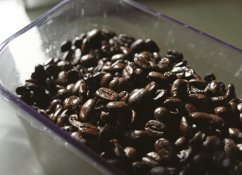 Coffee Beans in Dirty Canister.jpg