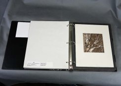 148464997.jpg 148464997.jpg