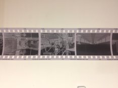 Negative Proof.jpg