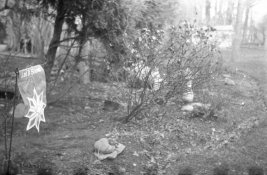 Gold200-Rodinal100stand1hr-4.jpg