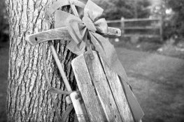 Gold200-Rodinal100stand1hr-9.jpg
