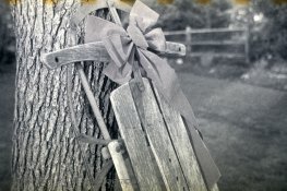 Gold200-Rodinal100stand1hr-10.jpg