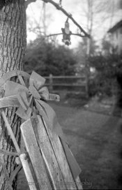 Gold200-Rodinal100stand1hr-11.jpg