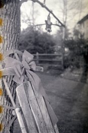 Gold200-Rodinal100stand1hr-12.jpg