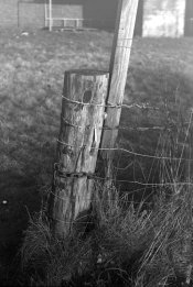 Scan-130115-0016-WEB.jpg