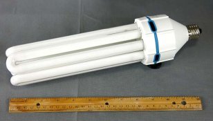 _apG0495_Softbox_CFL.jpg