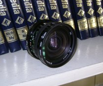 viv-19mm-1.JPG