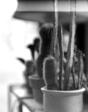Untitled-7.jpg