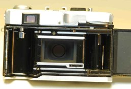 rc open back.jpg