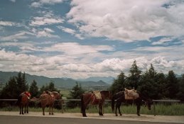 China 2012 113.jpg