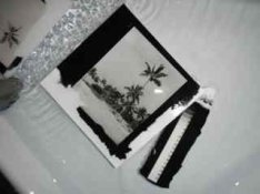 ImageUploadedByTapatalk HD1361166889.707170.jpg